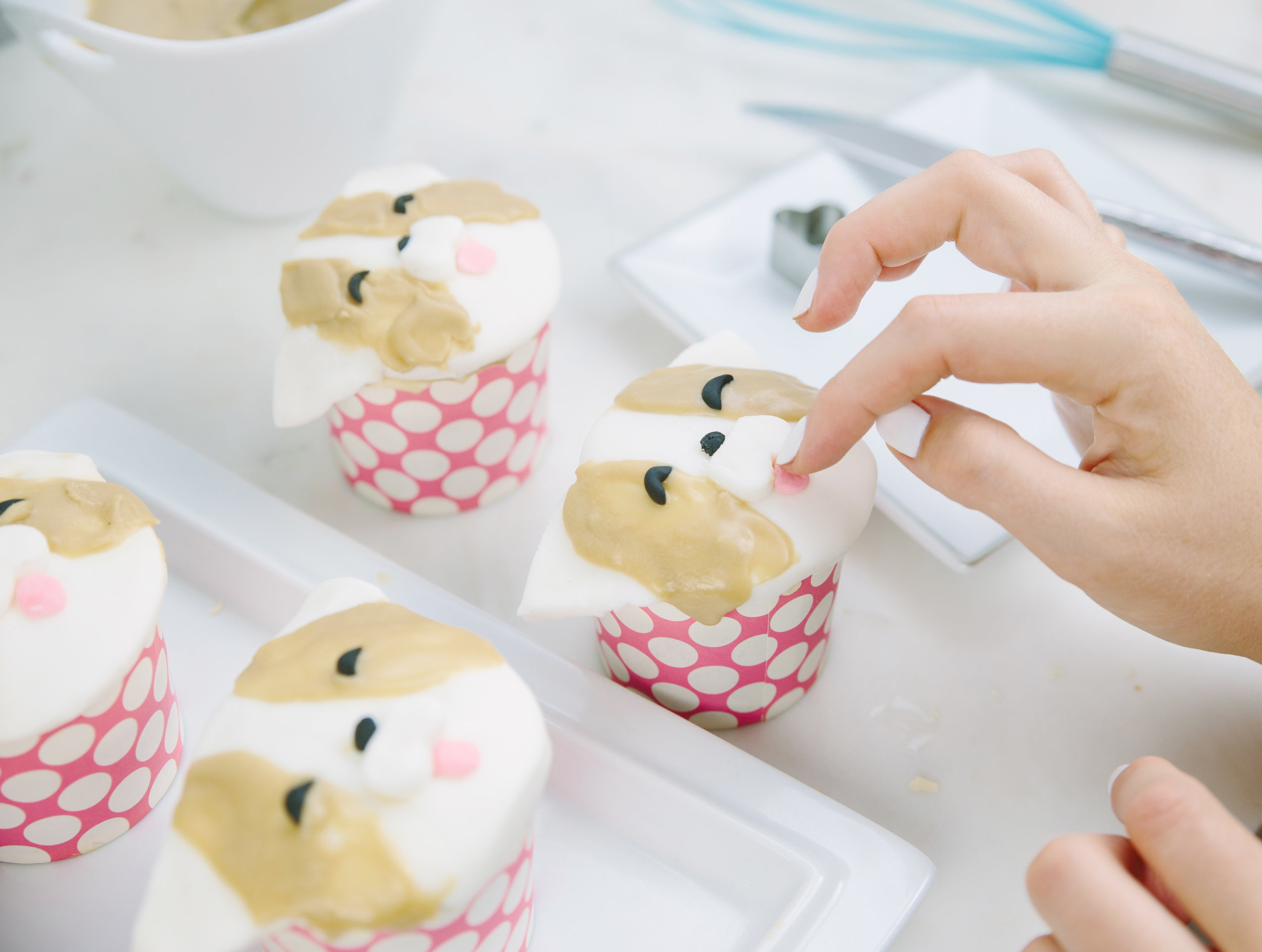 Corgi cake cheap ideas